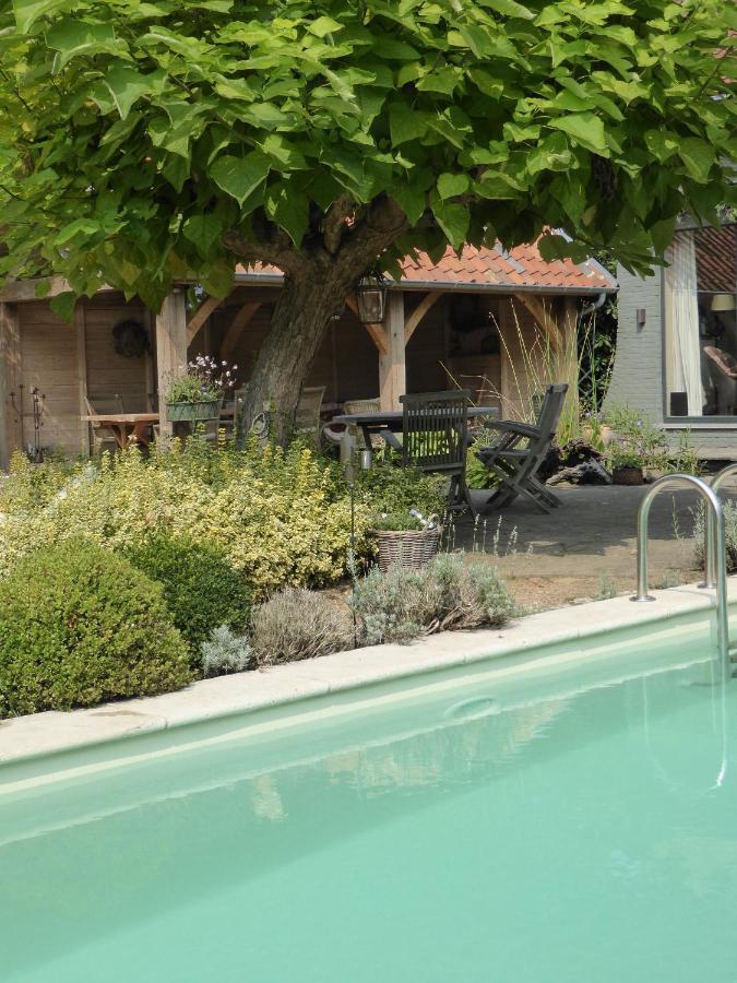 De Epicurist Bed & Breakfast Hasselt Exterior foto